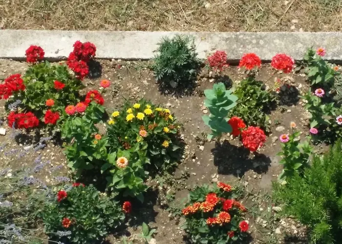 Marina Διαμέρισμα Slano