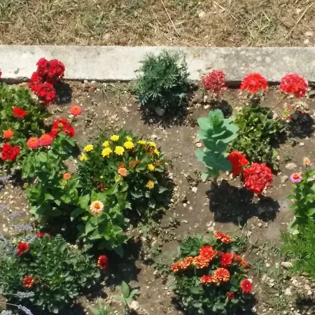 Marina Appartement Slano